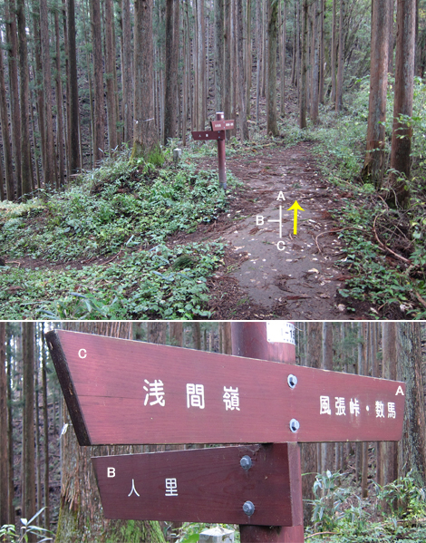 20191031hike (227)
